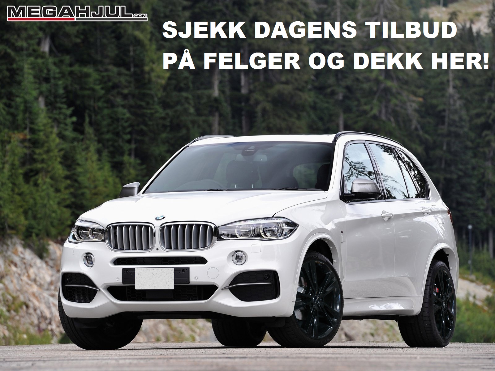 sommer felger og dekk til BMW X5